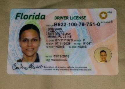 Buy Florida Driver’s License and ID Card