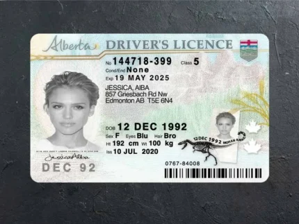 Buy Alberta Driver License